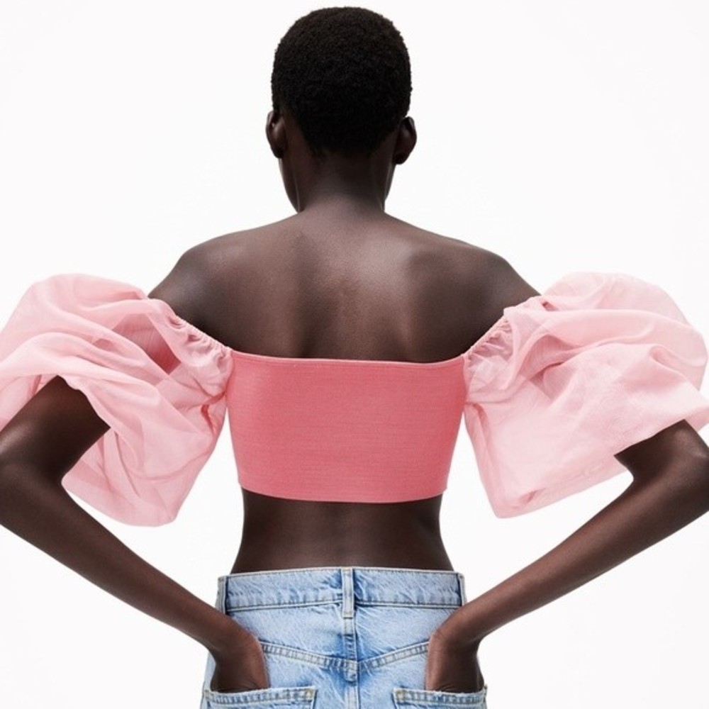 Zara Puff Sleeve Crop Top Pink Sheer Organza SOLD - Picture 13 of 16